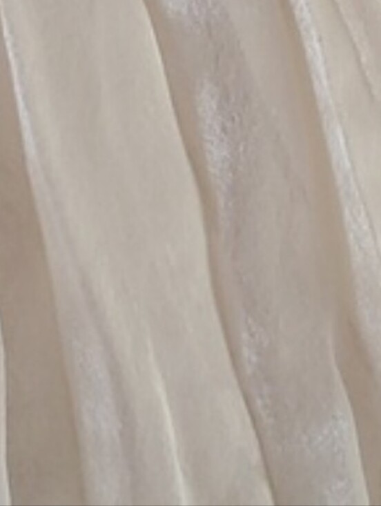Zara Dresses & Skirts - Zara  Long Pleated